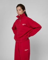 Утеплений світшот з блискавкою кольору бургунді, спереду, з високим коміром і довгими рукавами, прямий силует